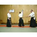 2007-04-14 - Aikido - Seminář Čabrada